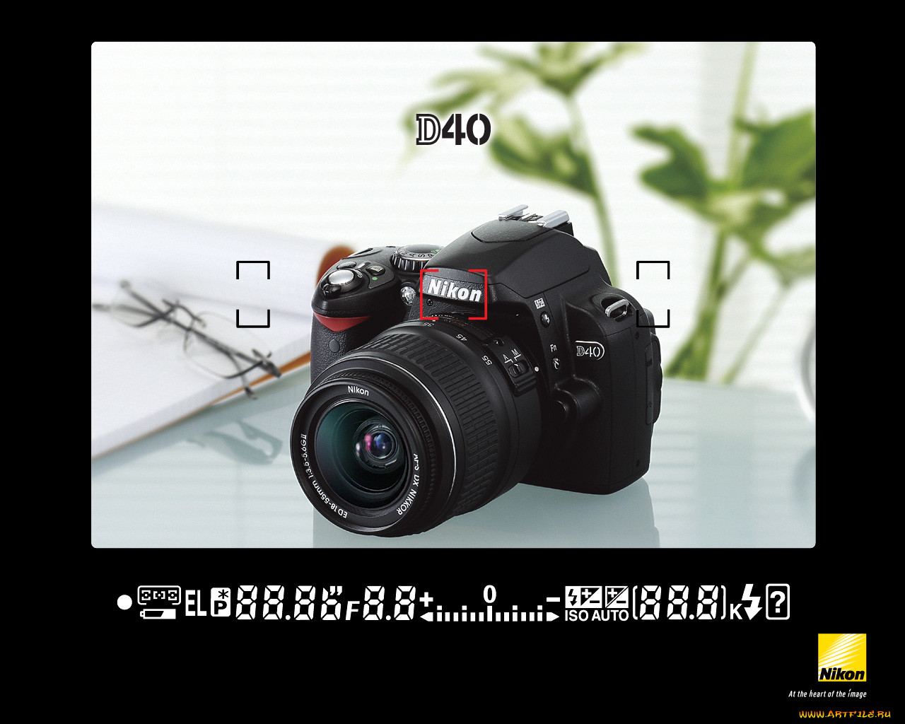 , nikon